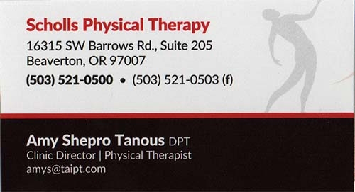Scholls Physical Therapy 1